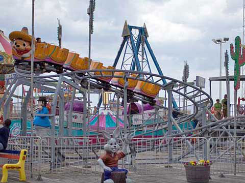 Small Roller Coaster Ride For Kids Park