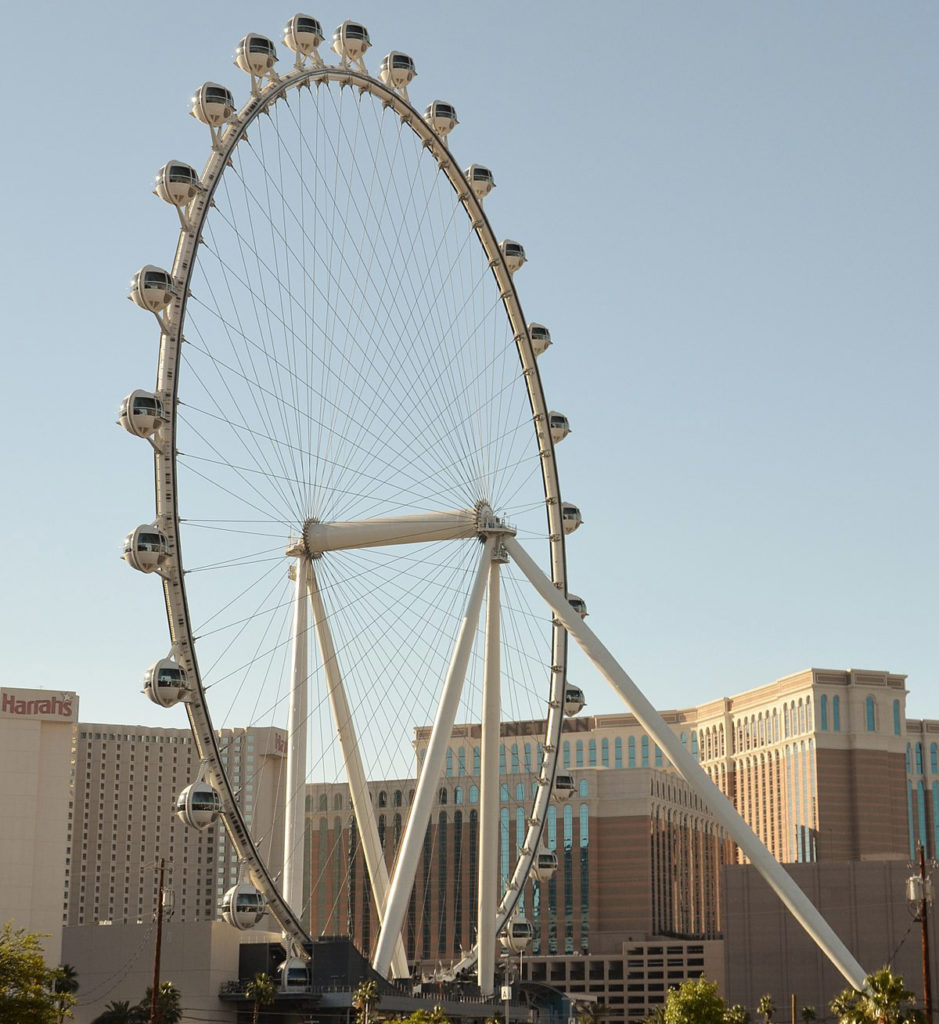 observation wheel family rides